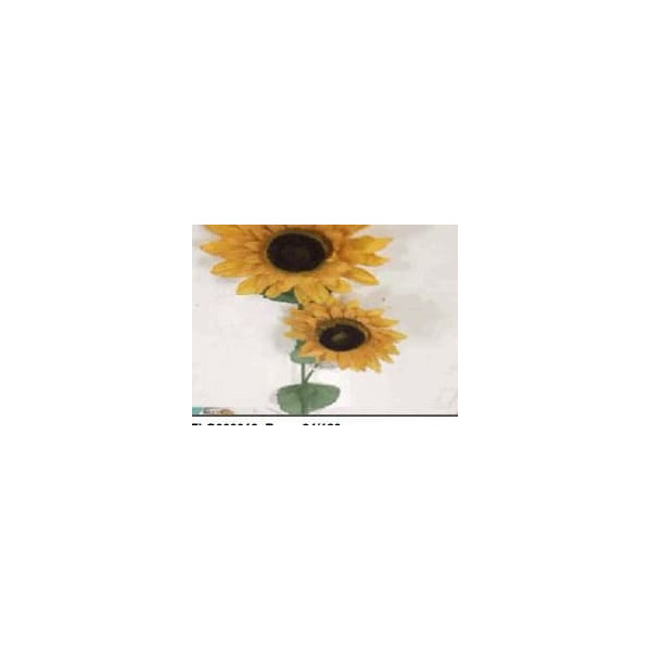 DRIED LONG STEM SUNFLOWER X2