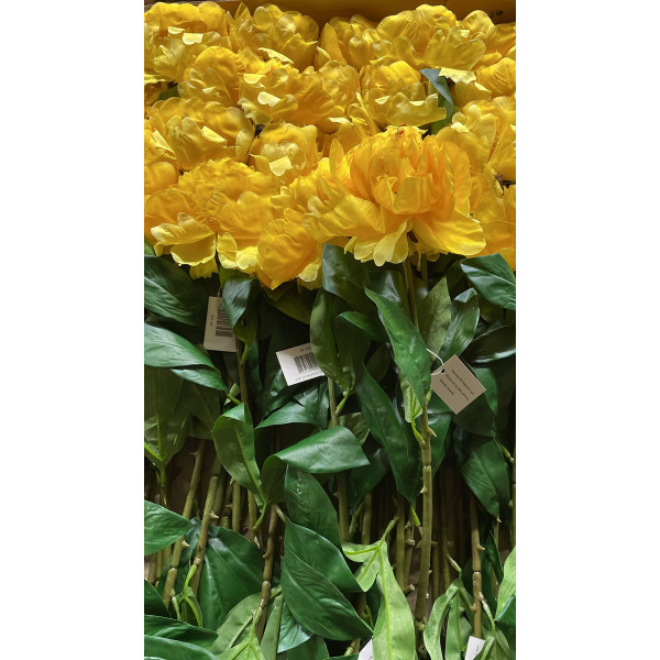 LONG STEM SINGLE PEONY YELLOW