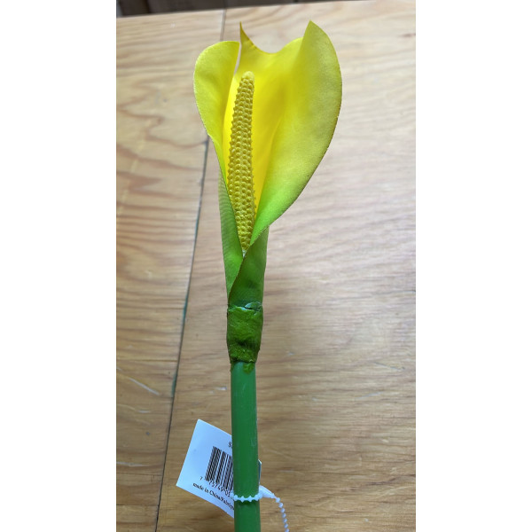 LONG STEM 2FT  ANTHURIUM YELOLOW