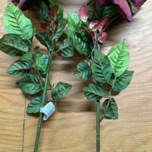 Dried LONG STEM Rose Pink Green
