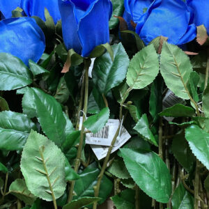 LONG STEM SINGLE STYLE ROSE PURPLE