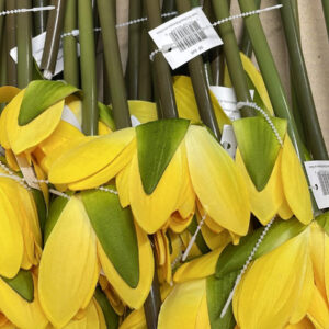 LOTUS YELLOW LONG STEM