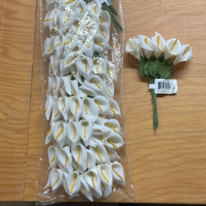 ANTHURIUM SMALL WHITE