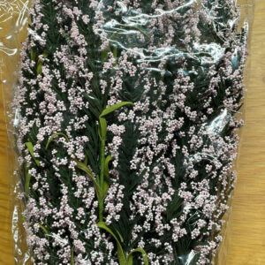 LONG STEM Babys Breath PINK