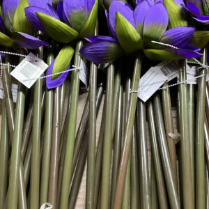 LOTUS PURPLE long stem big