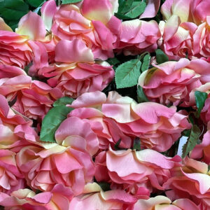 LONGSTEM ROSE PINCK WITH LEAVES pink rose