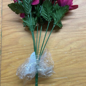 SATIN ROSE BUSH X5,