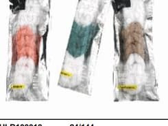 SPONGE NET TWIST FOR BACK HQ