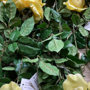 LONG STEM YELLOW ROSR MULTILAYER